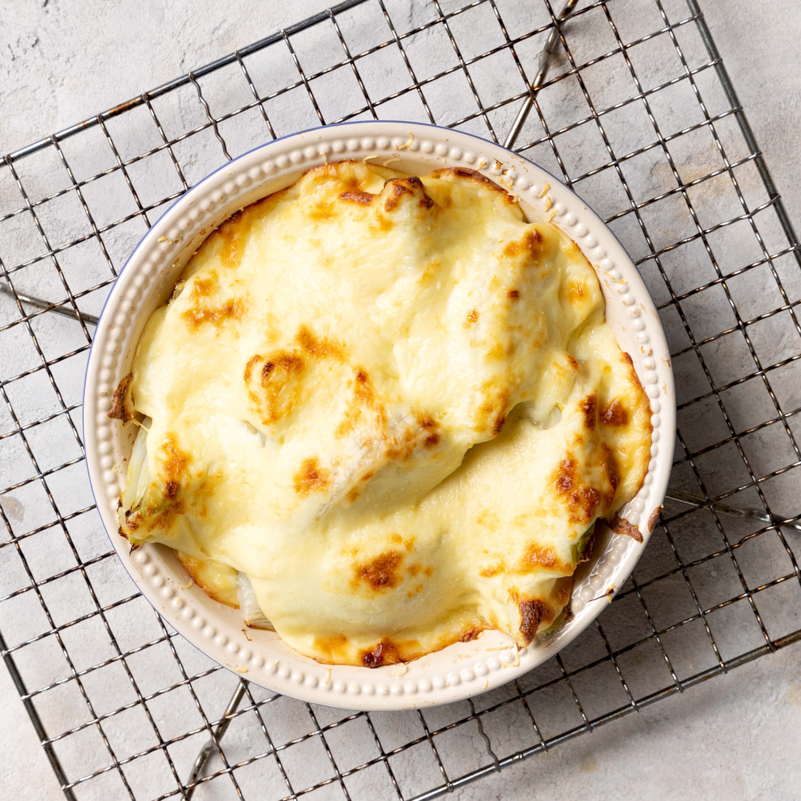 Fennel Parmesan Gratin Floridia Cheese Co